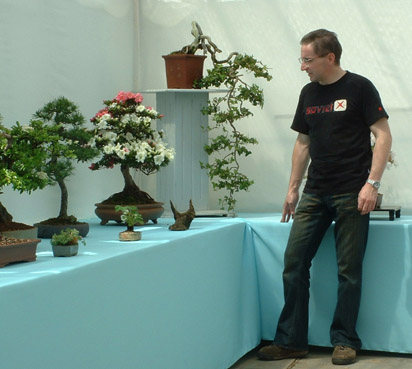 Developing Bonsai in the ground Stephe10