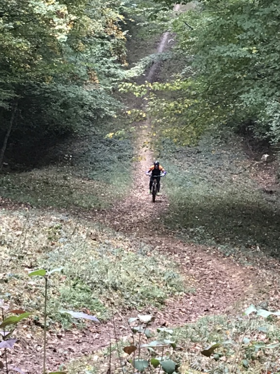 Weekend du 17-18/10/2020 D7dcd410