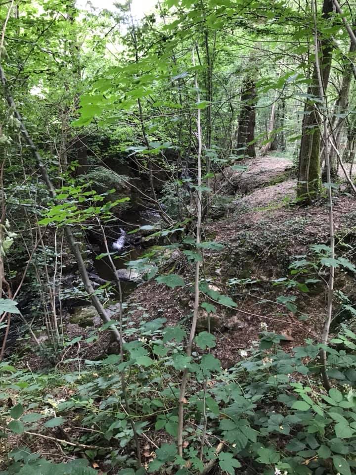 Et cette semaine en VTT... - Page 33 Vtt_0212
