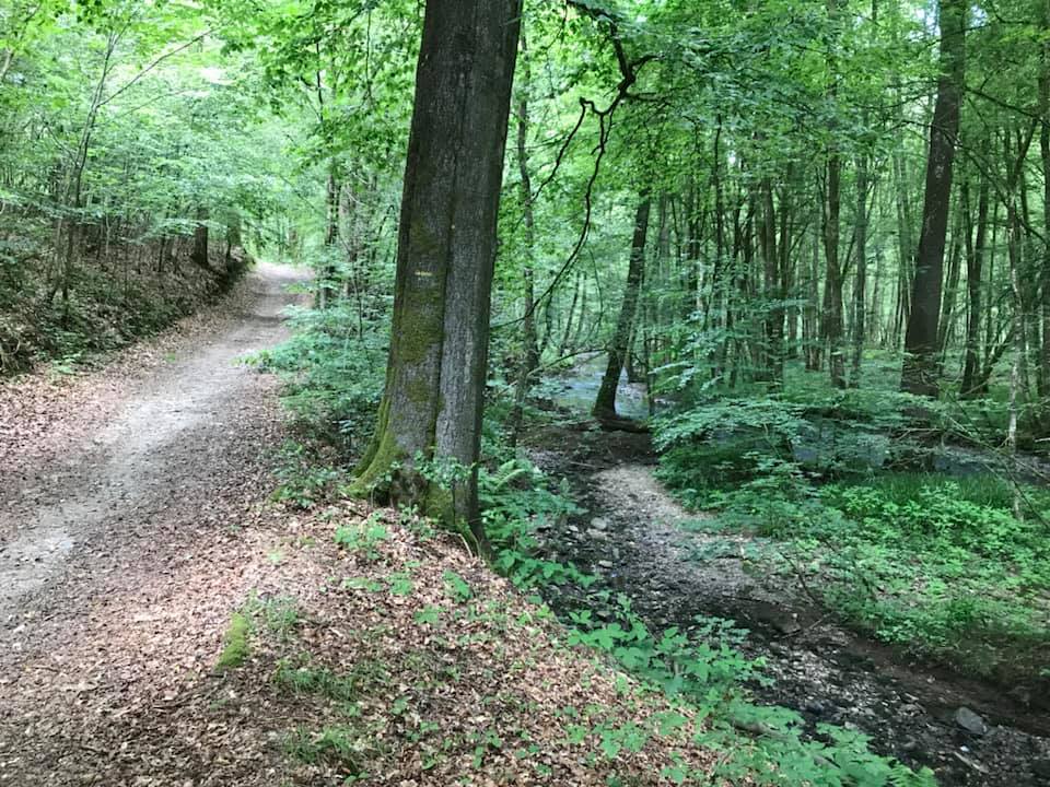 Et cette semaine en VTT... - Page 33 Vtt_0213
