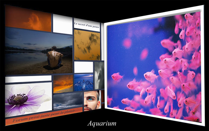 Aquarium a découvrir Aquari10
