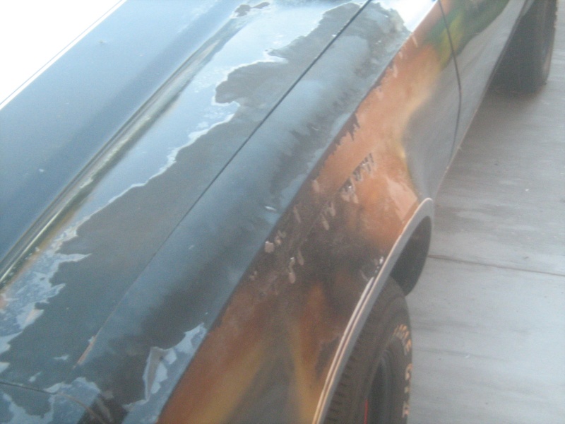 "My 74 Chevelle....Very poor paint work" 01510