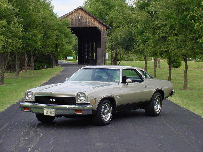 and chevelle pin on hood - Page 4 73chev10