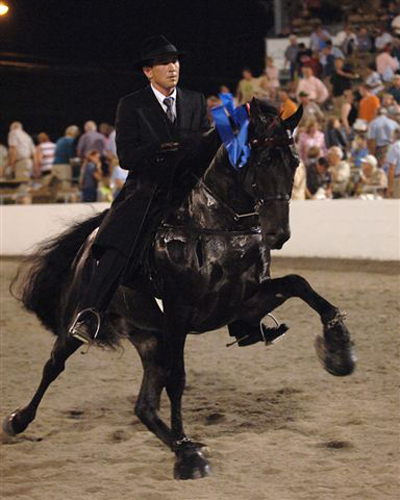 Race Tennessee Walking Horse  Main2010