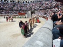 Les grand jeux romains de Nîmes 2011 Dsc02346