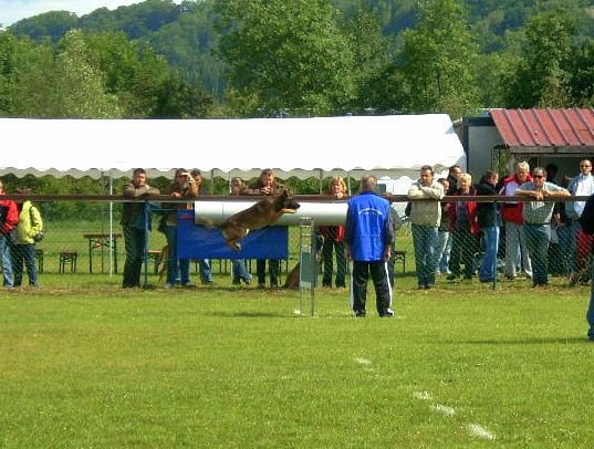 Sélectifs ring - GR7 - 14&15Mai 2011 - Serrières en Chautagne . Dscn8411