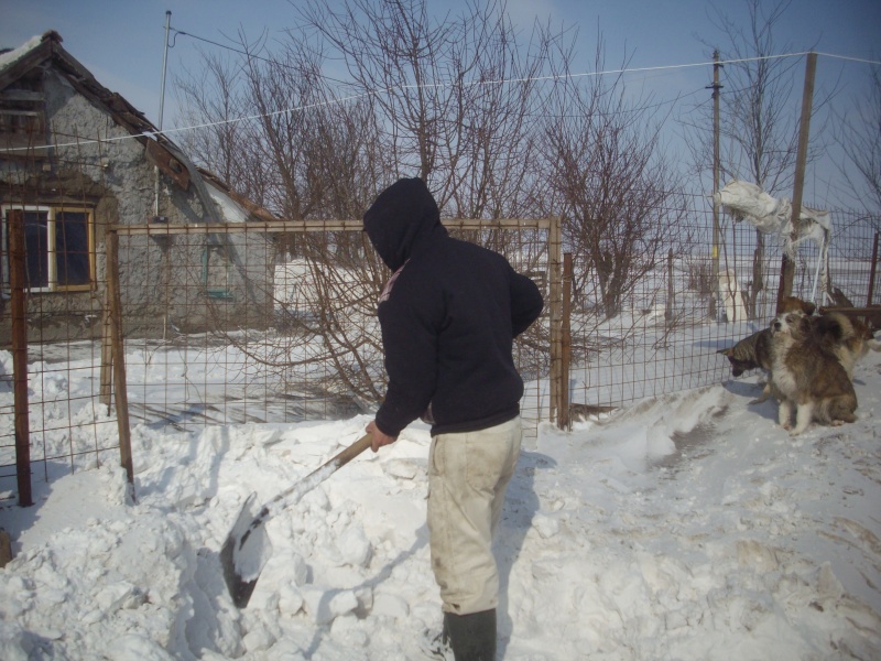 LE REFUGE DE LENUTA SOUS LA NEIGE Poze_e10