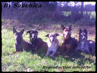 La bande a Sanchica - Page 3 Img00311