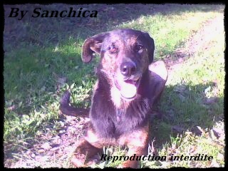 La bande a Sanchica - Page 3 Img00414