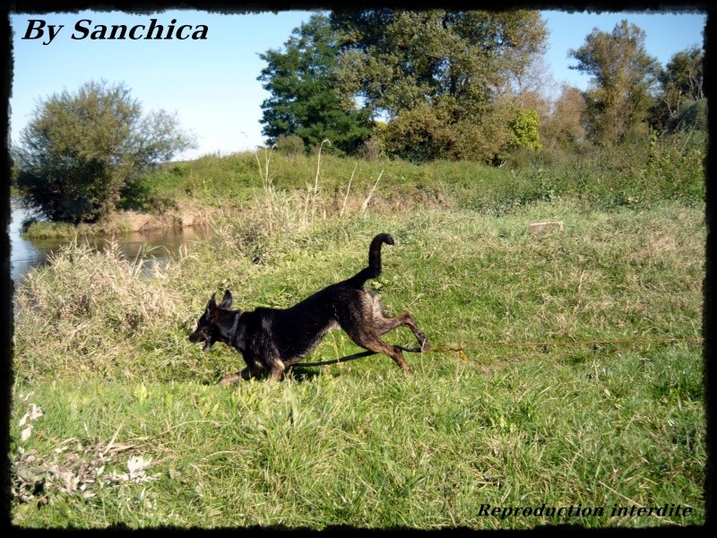 La bande a Sanchica - Page 41 P1150015