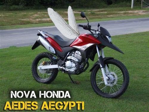 Nova Honda 300 - Voadora....  Honda10