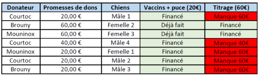 URGENCE POUR 7 CHIENS A NOVISAD DETENUS DANS DES BOITES - A SAUVER AVANT FOURRIERE MOUROIRE DE BACKA Image612