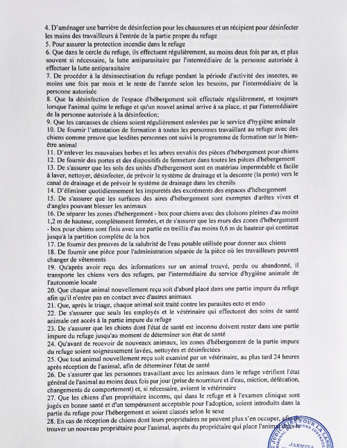 CHIENS A L ADOPTION    - SERBIE   - REFUGE DE BELLA - Etat au 18  04 2024 - Page 4 P2210