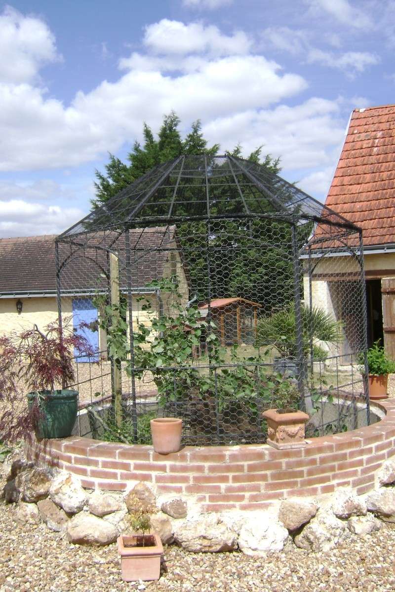 Une pergola à chabo Pergol10