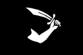 Il simbolo indissolubile dei pirati: IL JOLLY ROGER 120px-20