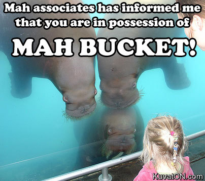 funny pics here^^ add your own Bucket10