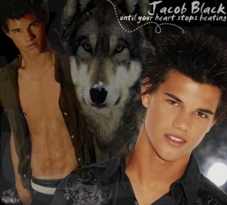 Taylor Lautner 68071210