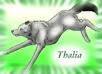 Thalia's Drawings :) Thalia13