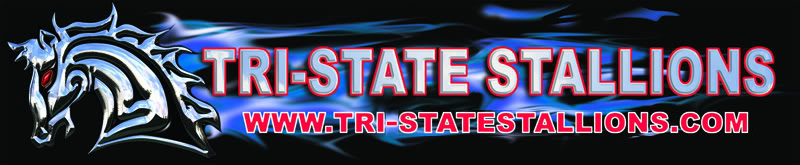 TRI-STATE STALLIONS Banner13