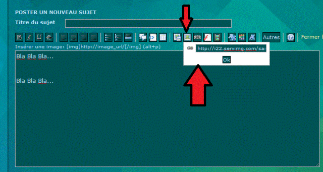 Comment utiliser les images sur ce forum ? Sans_t13