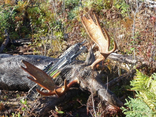 **Album des chasseurs d'orignaux 2010** Chasse12