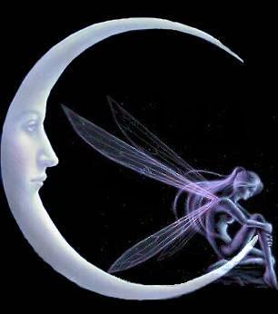 The Moon & A Dragonfly Moon2010