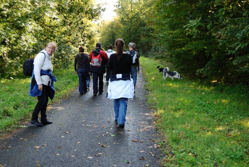 ballade en Belgique avec Taty, Tika, Malilou04, Bonnie, Kaloo, Max, vero24be et Bertrand - Page 4 Dsc_0012