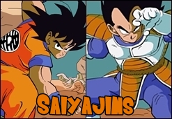 Raça: Saiyajin Goku_v11