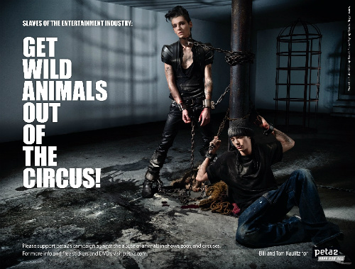 PETA CAMPAIGN (2010) Petaca10