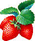 Erdbeermarmelade Erdbee14