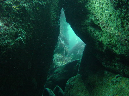 Lieu inconnu ( Monde Normal ) Grotte10