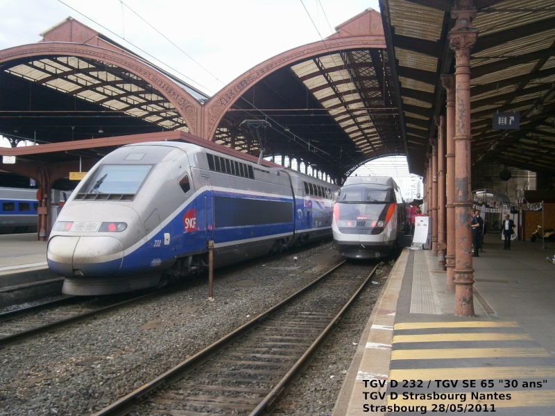 Les autres trains vus à Strasbourg pendant l'expo P5280513