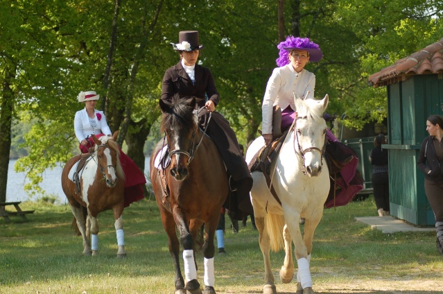 Stages  amazone en Limousin  ( et ailleurs) Toussaint 2013 Dsc_3210