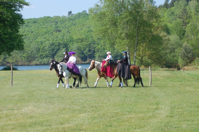 Stages  amazone en Limousin  ( et ailleurs) Toussaint 2013 Dsc_3211