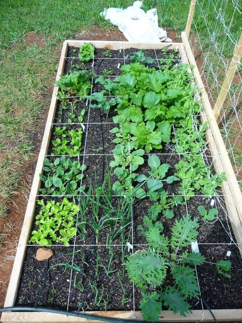 Watering Sfg04210