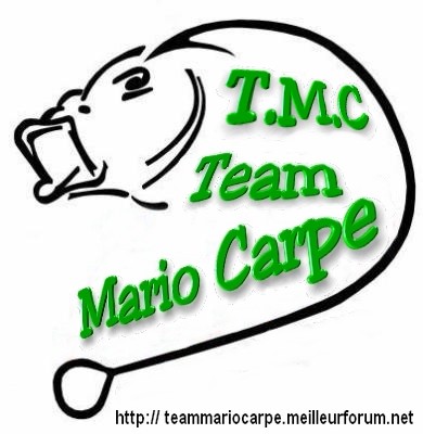 Un petit logo pour Le Team TMC Logo_t11