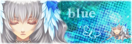 Mon evaluation Blue_b10
