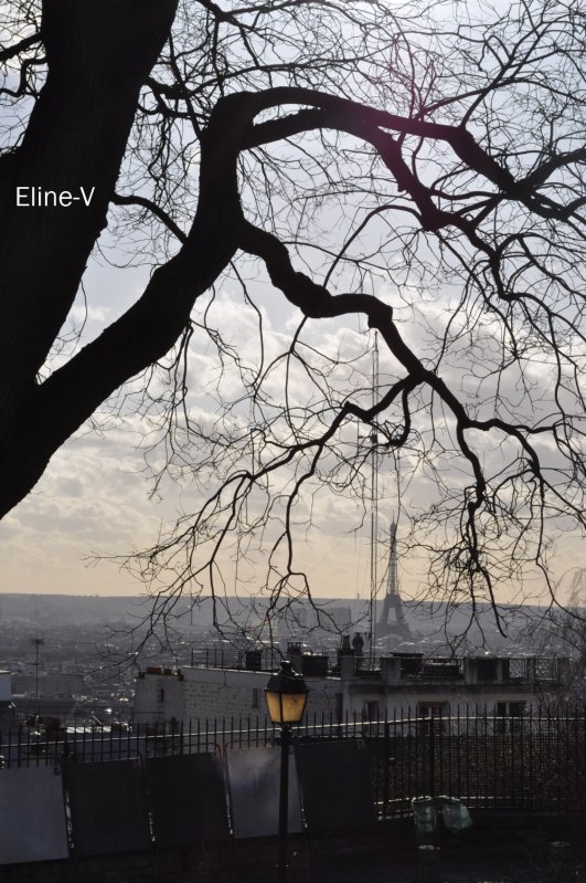 Exposition Photographies : Eline V. * 28015710