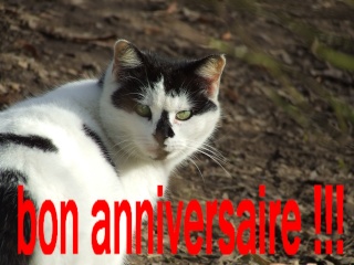 Aujourd'hui c'est l'anniversaire de ..... - Page 9 Dscf8110