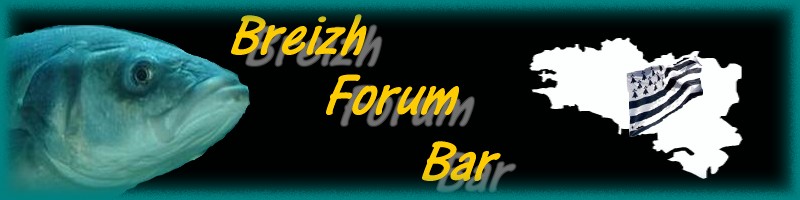 Breizh Forum Bar