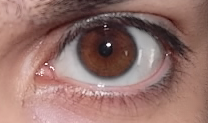 Quelle paire de Circle lens sur yeux marrons non foncés? Oeilho10