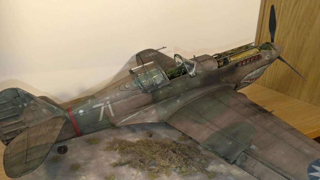 [CONCOURS Corona Models] P-40 tomahawk 1/24 chine 1941 P_202038