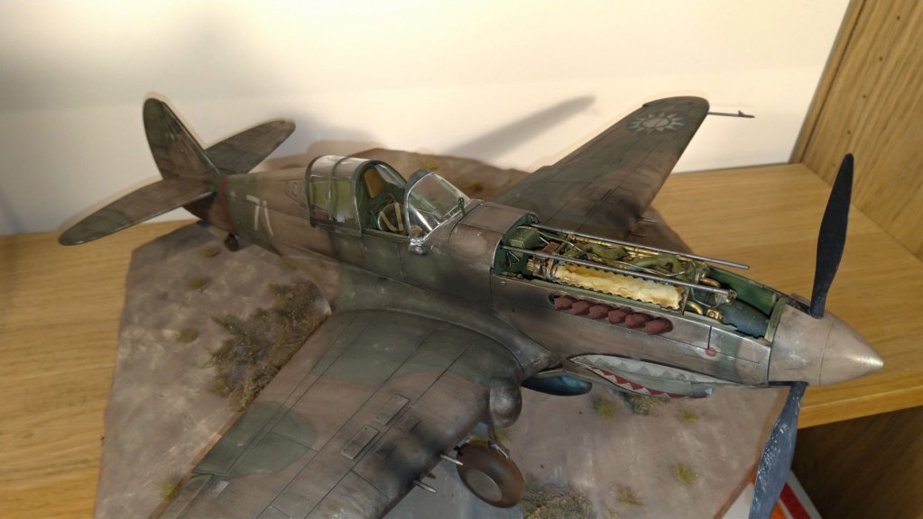 [CONCOURS Corona Models] P-40 tomahawk 1/24 chine 1941 P_202039