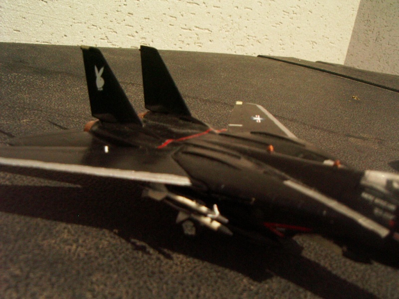 F-14 black tomcat revell 1/144 Imgp6116