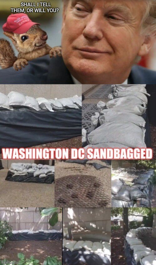 SANDBAGs ;)  hmmm...is Trump going to put a spin on The Deep State for 9/11 ??? Sandba10