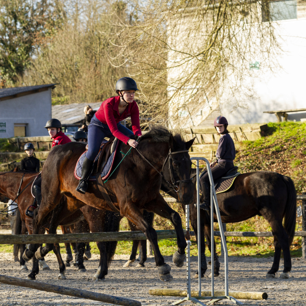 Cours d'équitation 18122014