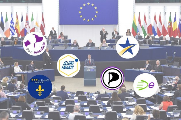#Européennes 2019: ce qui fait courir les toutes petites listes 5ccb2610