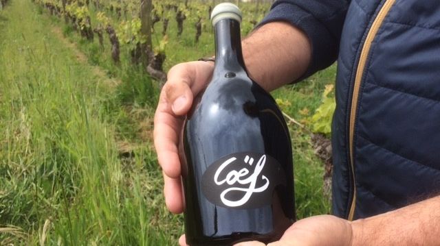 A #SaintNicolasDeBourgueil, un #viticulteur refuse de détruire 2000 bouteilles à la demande de l'#Etat 870x4838