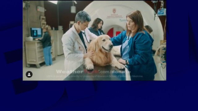 Des #vétérinaires sauvent son #chien d'un #cancer, il leur paye une #pub de 6 millions de dollars au #SuperBowl D8119a10