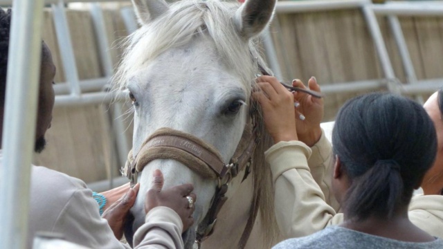 De jeunes #DemandeursdEmploi de l’#Oise au contact des #chevaux pour retrouver #confiance en eux Fw4yml10